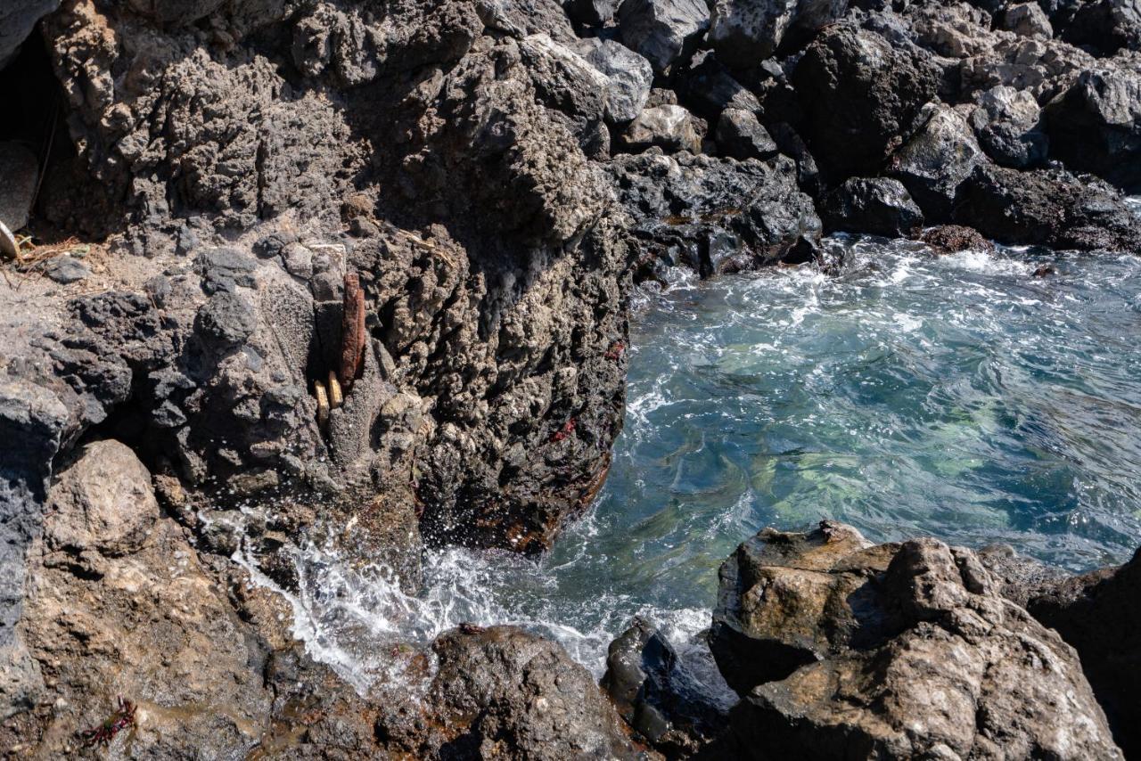 Breath-Taking Views On The First Line Of The Ocean Villa Santa Cruz de Tenerife Eksteriør billede